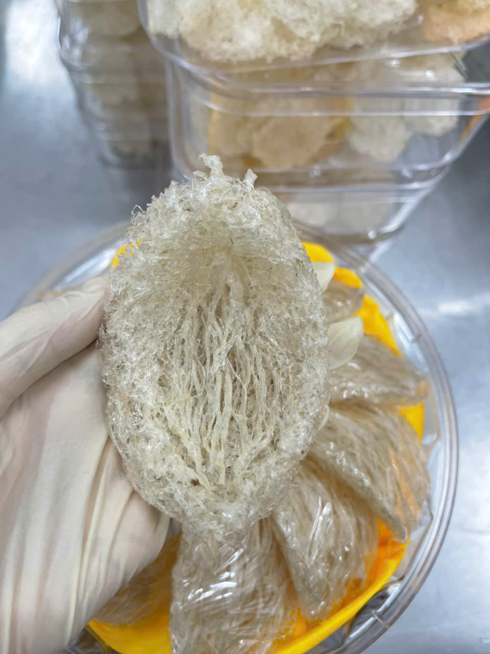 Nguồn gốc và giá trị của Yến đảo thô