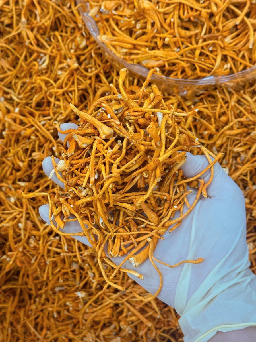 5 dấu hiệu cơ thể đang cần bồi bổ và cách cải thiện tự nhiên