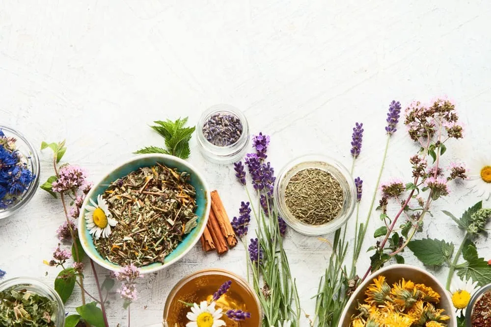 5 loại cây dược liệu được giới chuyên gia đánh giá cao