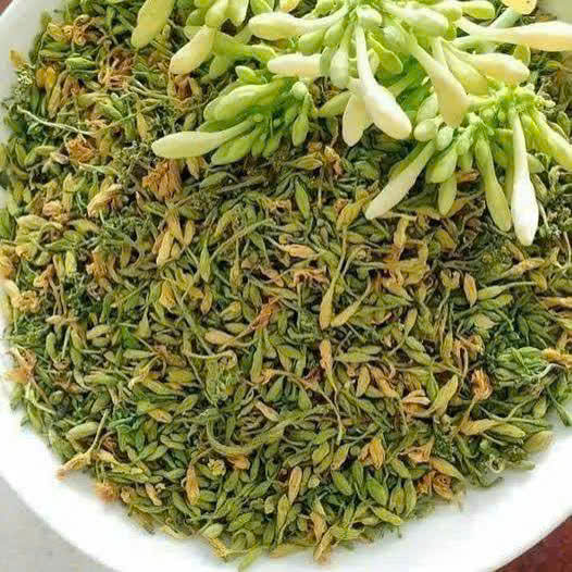 Hoa Đu Đủ đực