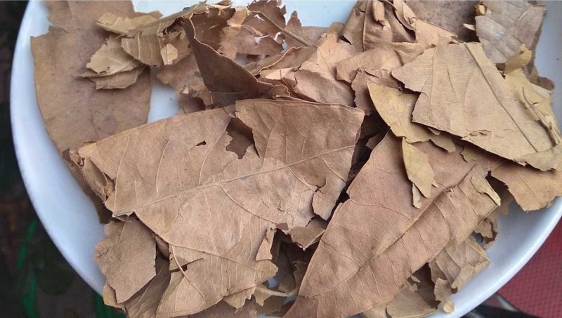 Lá Cây Sa Kê khô