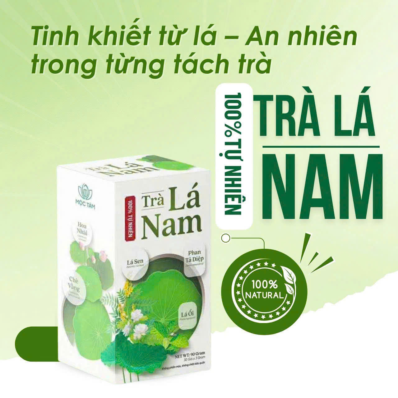 Trà lá nam Herbalgreen